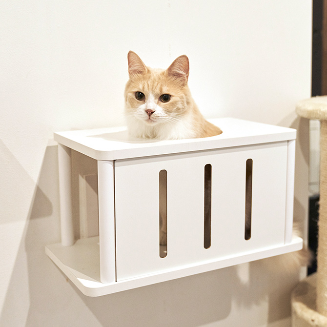 猫 賃貸 小さい穴 キャットステップ トンネル キャットタワー キャット