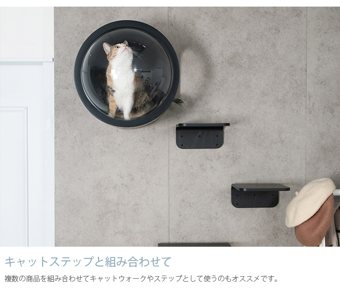 猫 キャットステップ キャットウォーク 壁付け 壁掛け MYZOO マイズー