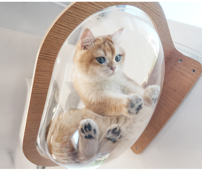 猫用 キャットステップ ベッド 透明 クリア クリアボール MYZOO