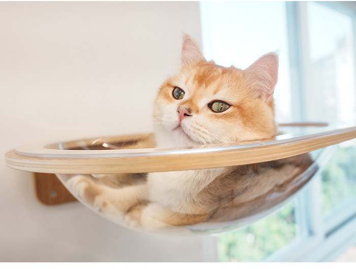 猫用 キャットステップ ベッド 透明 クリア クリアボール MYZOO