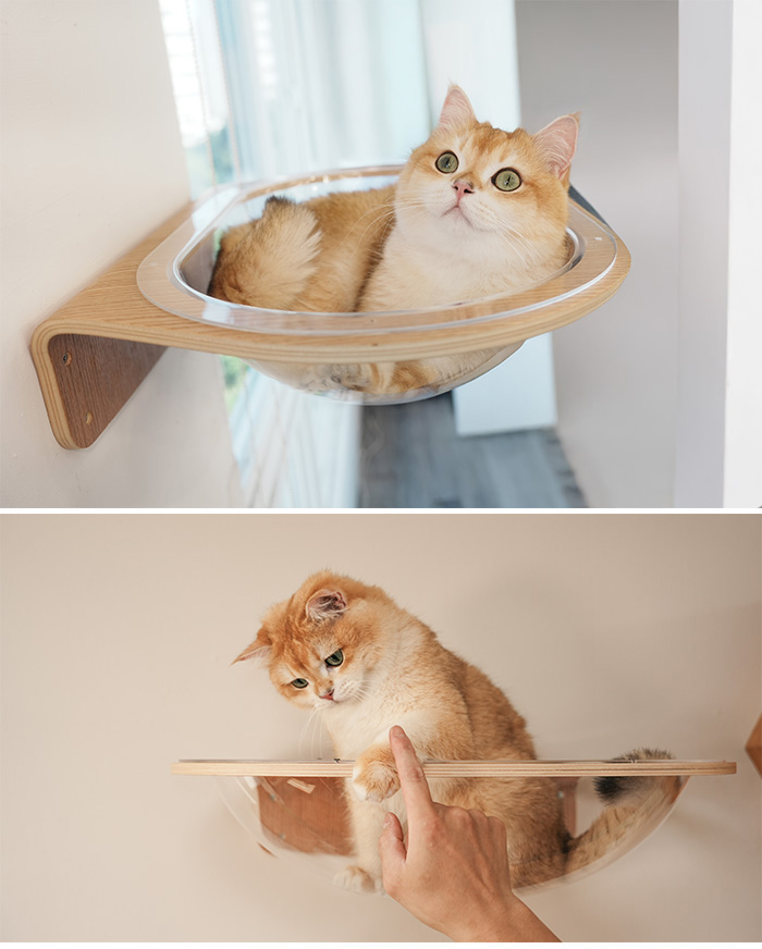 猫用 キャットステップ ベッド 透明 クリア クリアボール MYZOO