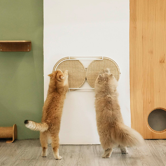 猫用 壁掛け 爪とぎ 爪研ぎ 円形 MYZOO マイズー Locus 円形爪とぎ