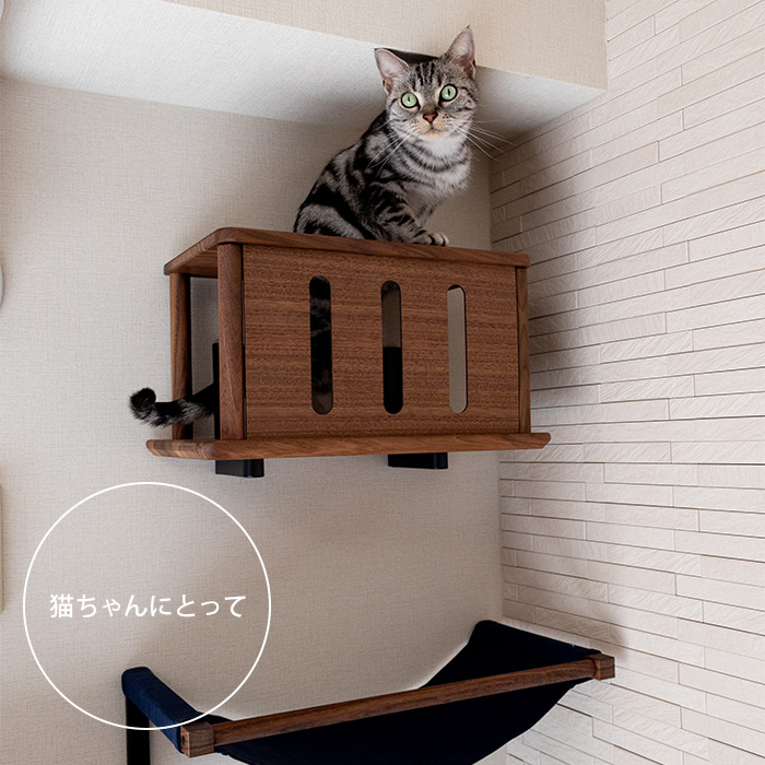 キャットステップ 猫用 キャット 壁掛け トンネル animacolle