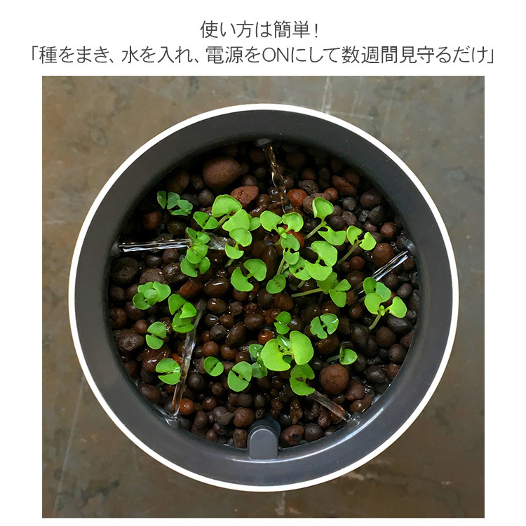 正規激安 水耕栽培 キット Botanium ボタニアム 自動散水式プランター 栽培キット かわいい おしゃれ 初心者 室内 簡単 ハーブ 最新コレックション Www Thedailyspud Com