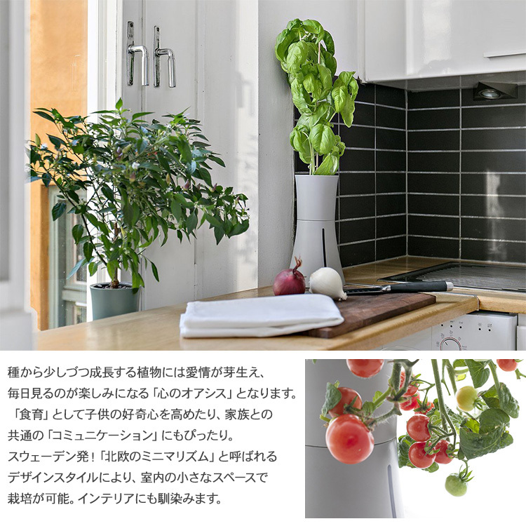 水耕栽培 キット Botanium ボタニアム 自動散水式プランター 栽培
