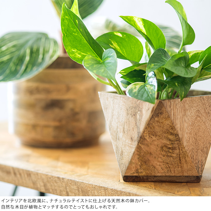 観葉植物 ポット 鉢 花台 鉢カバー ポットカバー 底なし インテリア 木