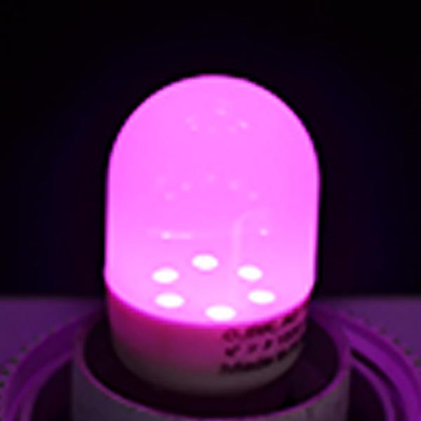 5個セット LED ナツメ球 E12 口金 e12 0.5W LED 電球 120度発光 常夜灯や装飾照明 T形タイプ LED 電球色 相当 赤色 緑色 青色 ピンク｜beamtec｜06
