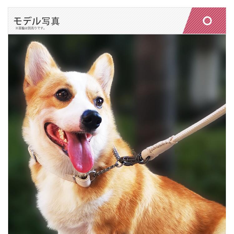 安価 バーディー レザークッションリード ブルー 犬具 中型犬 やさしい Fucoa Cl