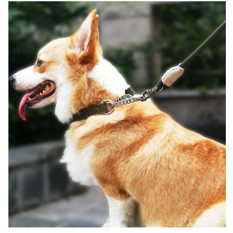 安価 バーディー レザークッションリード ブルー 犬具 中型犬 やさしい Fucoa Cl