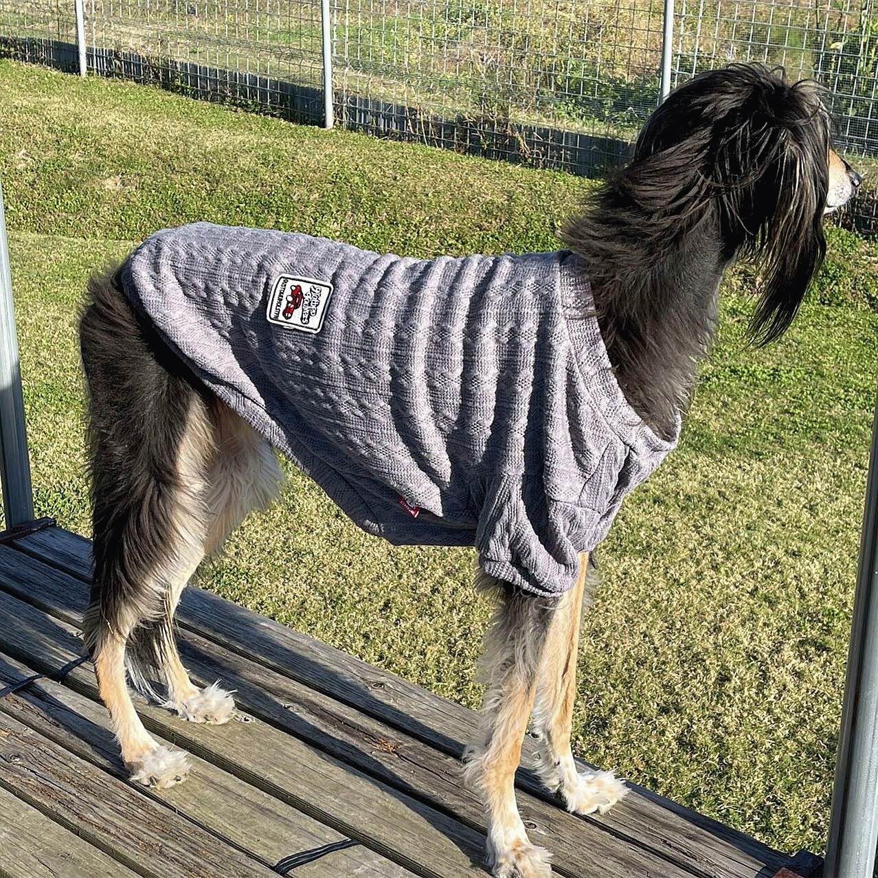 中型犬 大型犬 犬 服 ニット セーター ウェーブ柄 犬服 春 秋 ドッグウェア 防寒 暖かい つなぎ 可愛い おしゃれ 冬用 送料無料 Wear22 14b Beanspet 通販 Yahoo ショッピング