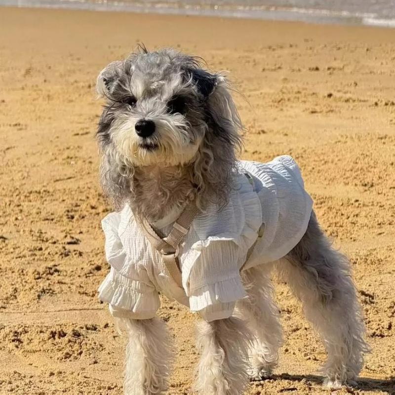 犬服 ワンピース 春夏 ポリエステル100% 袖フリル ホワイト 小型犬