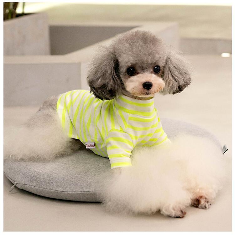 犬服 犬 服 カットソー シャツ ネオンカラー ネック ボーダー ブランド