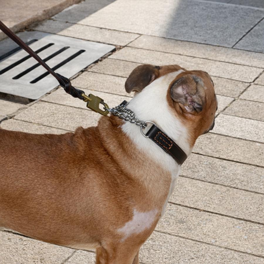 【CDO-SLHG15CB〈TN〉】犬の首輪〈サイズ「XS」〉牛革　人気 定番しつけ犬具 犬 ハーフチョーク 本革 首輪 犬首輪 革 おしゃれ