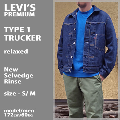 levi-a3174-0030_5.jpg