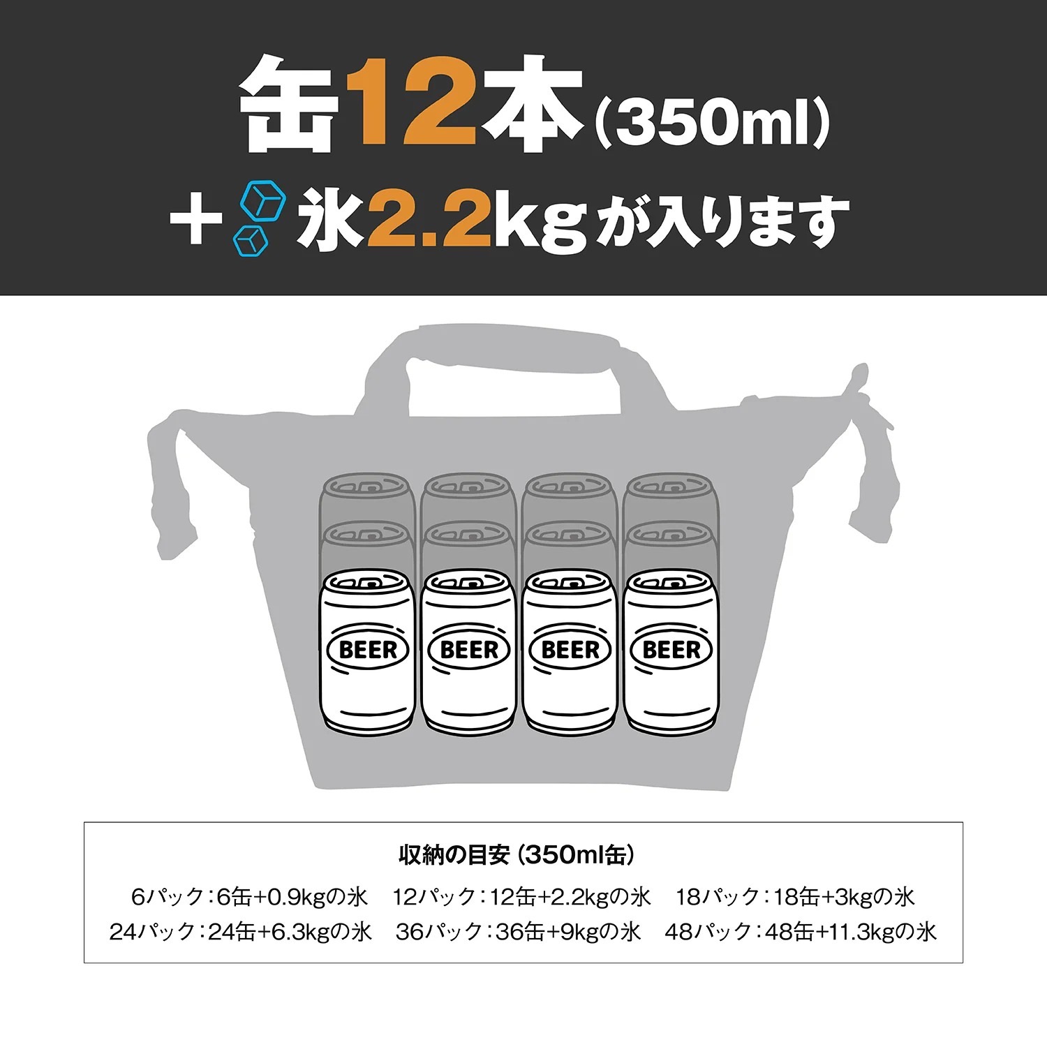 AO Coolers 11L 保冷バッグ クーラーボックス クーラーバッグ キャンプ