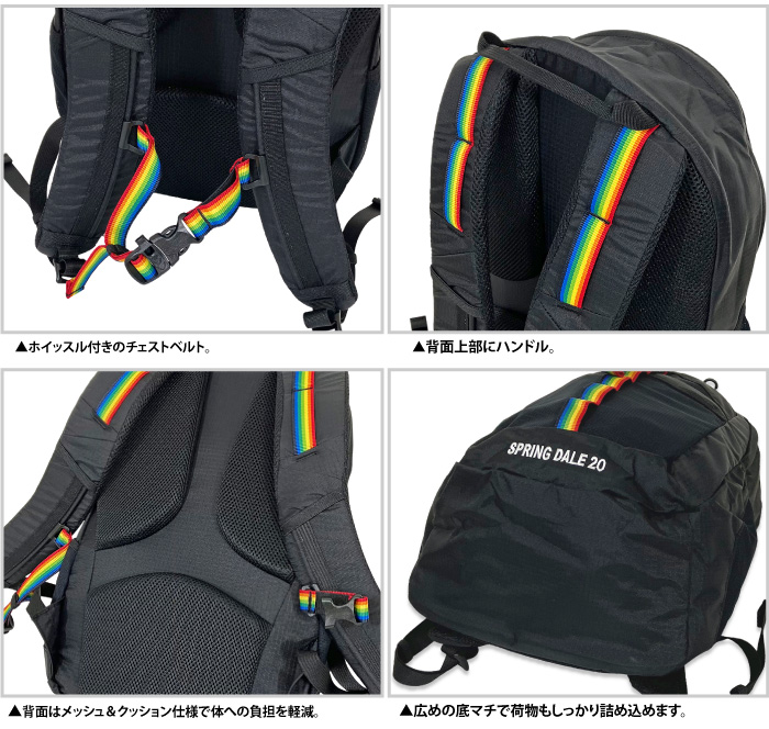CHUMS（チャムス） スプリングデール 20 リュックサック バックパック