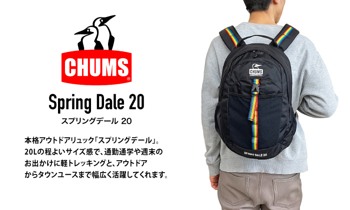 CHUMS（チャムス） リュックサック スプリングデール 20L バックパック