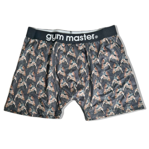 gym master（ジムマスター） ハッピーペイント ボクサーパンツ 下着