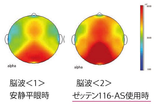 脳波の実験データ