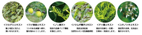ハイタッチ