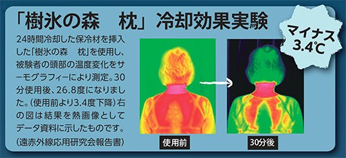 樹氷の森 枕冷却効果実験