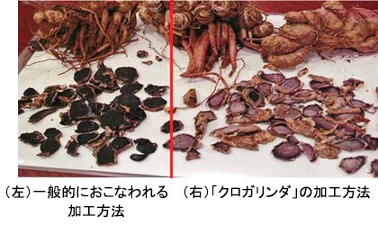 クロガリンガル