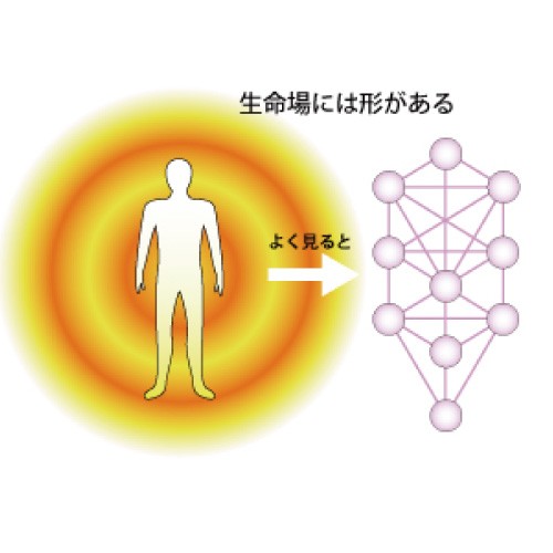 ヤフーショッピング】ビューストア