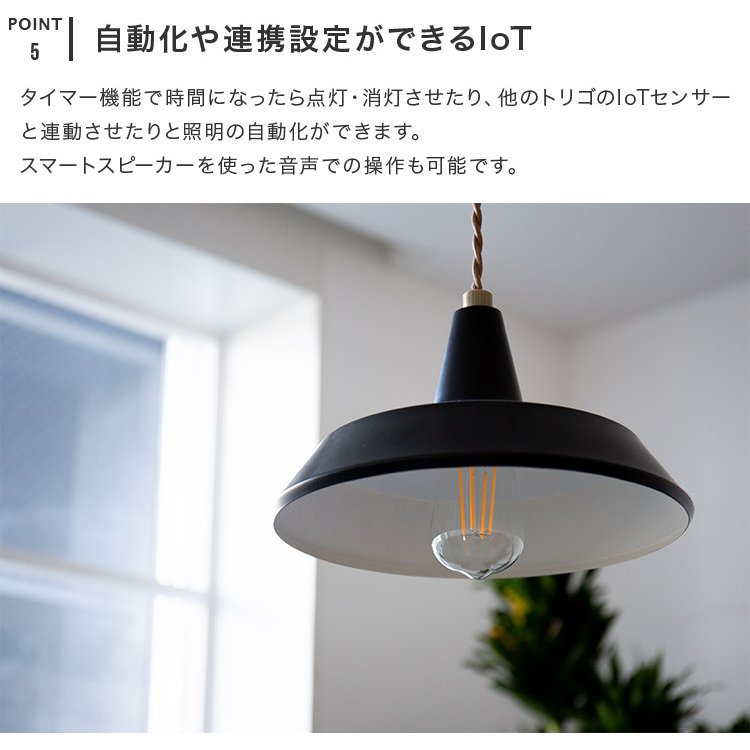 スマートLED電球 エジソン電球 調光 E26口金 スマホ操作 TOLIGO