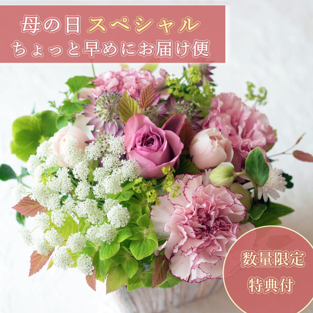 母の日早めでおトク