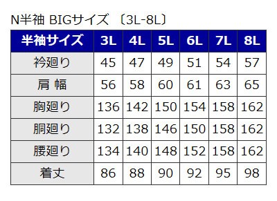半袖BIG