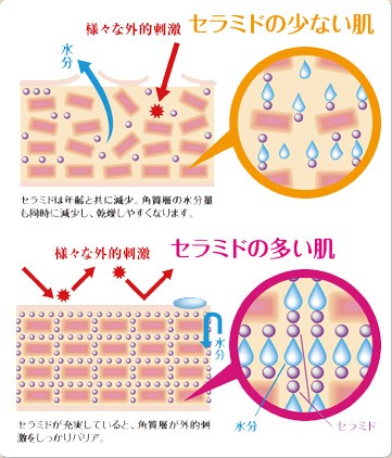 セラミド配合　セルマトリックス極雅