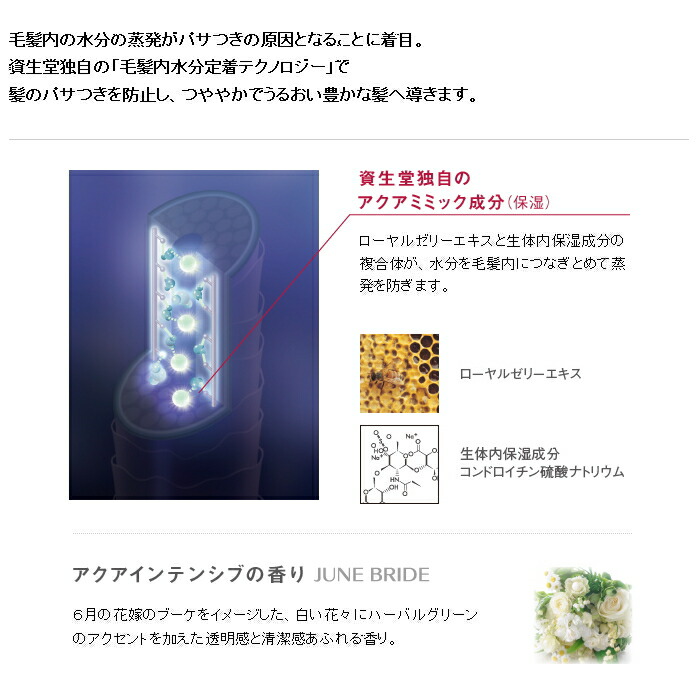 資生堂プロフェッショナル アクアインテンシブ トリートメント2