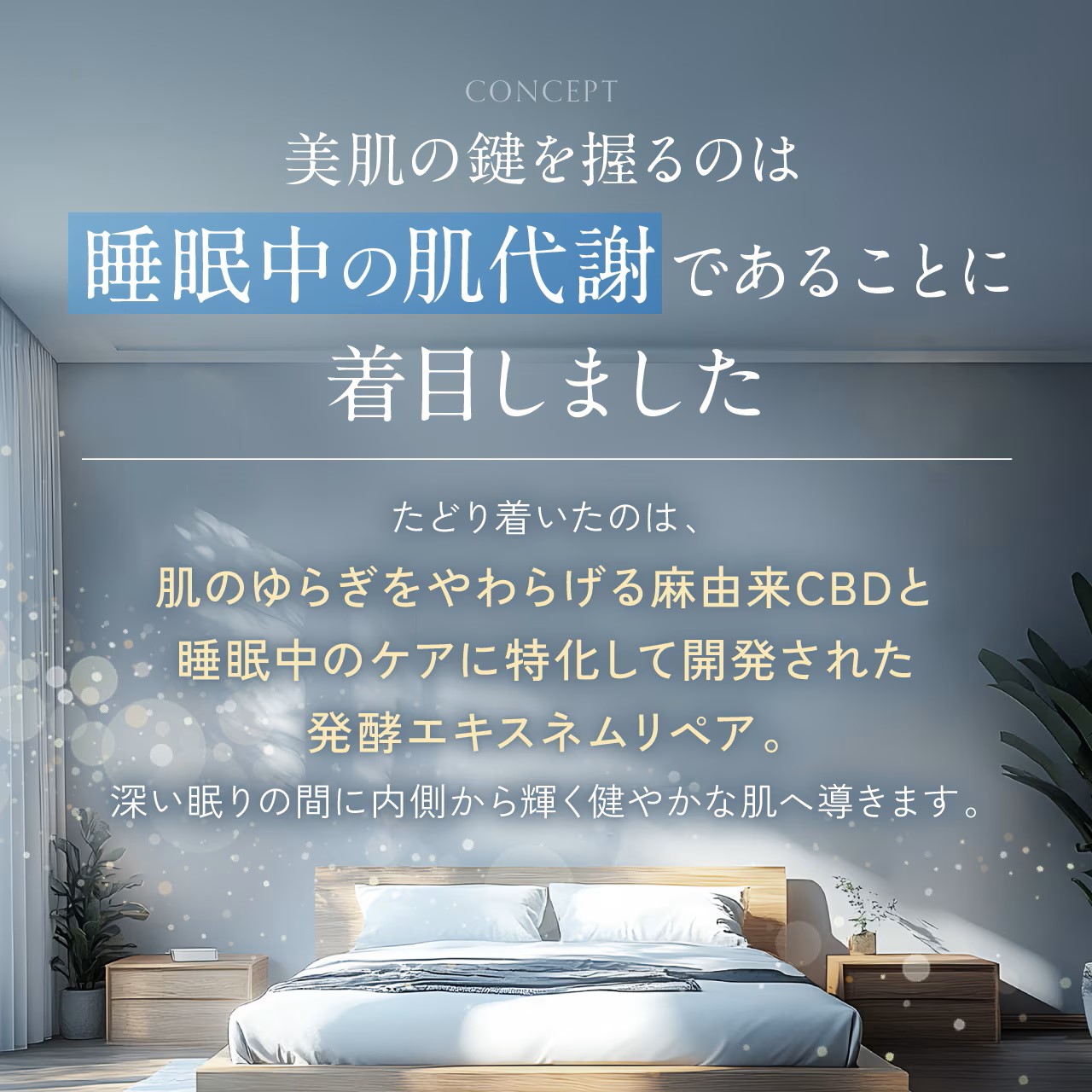 NADI ナディ ナイトクリーム クリーム 夜用 フェイスクリーム