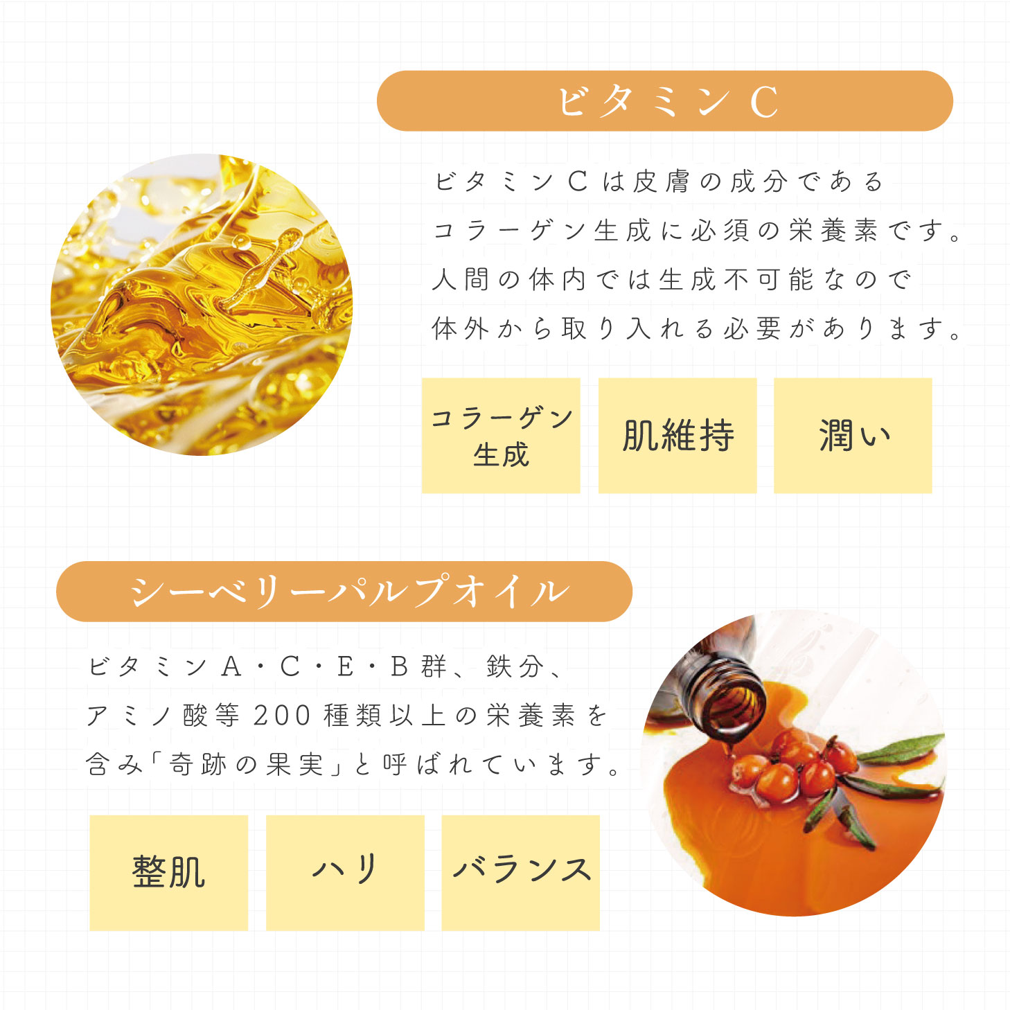 ホワイトクリスタル 美容ドリンク カプセル 栄養ドリンク