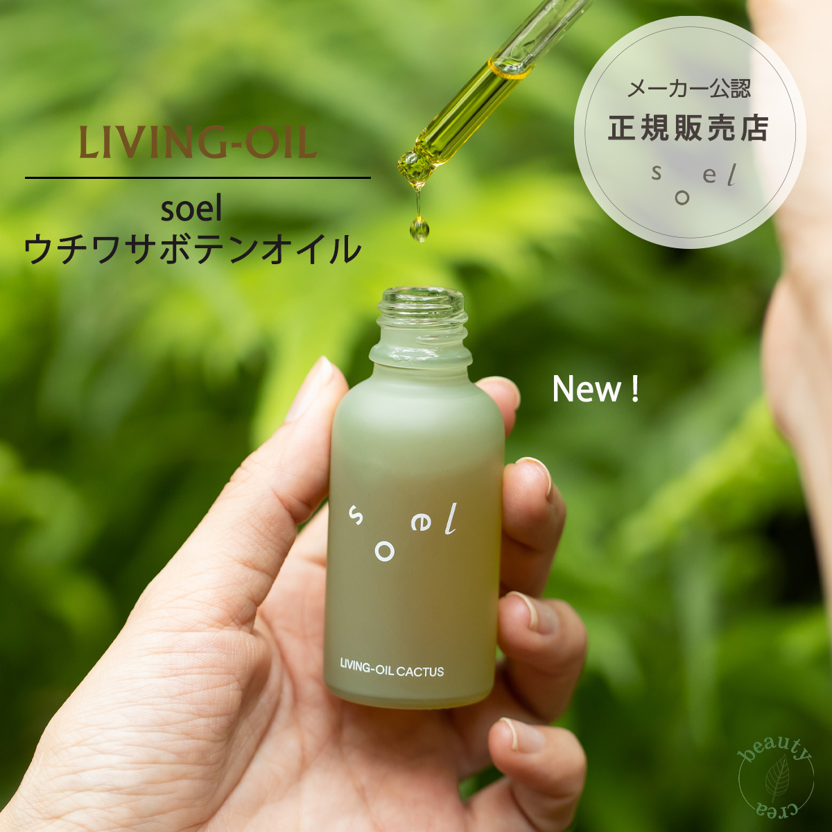 正規販売店 導入液 ブースター soel ソエル LIVING-OIL ウチワサボテンオイル 30mL 肌荒れ 乾燥肌 敏感肌 保湿 オーガニック サボテン  サボテンオイル ビタミン : anpl-soel-2082 : beautycrea ビューティークレア - 通販 - Yahoo!ショッピング