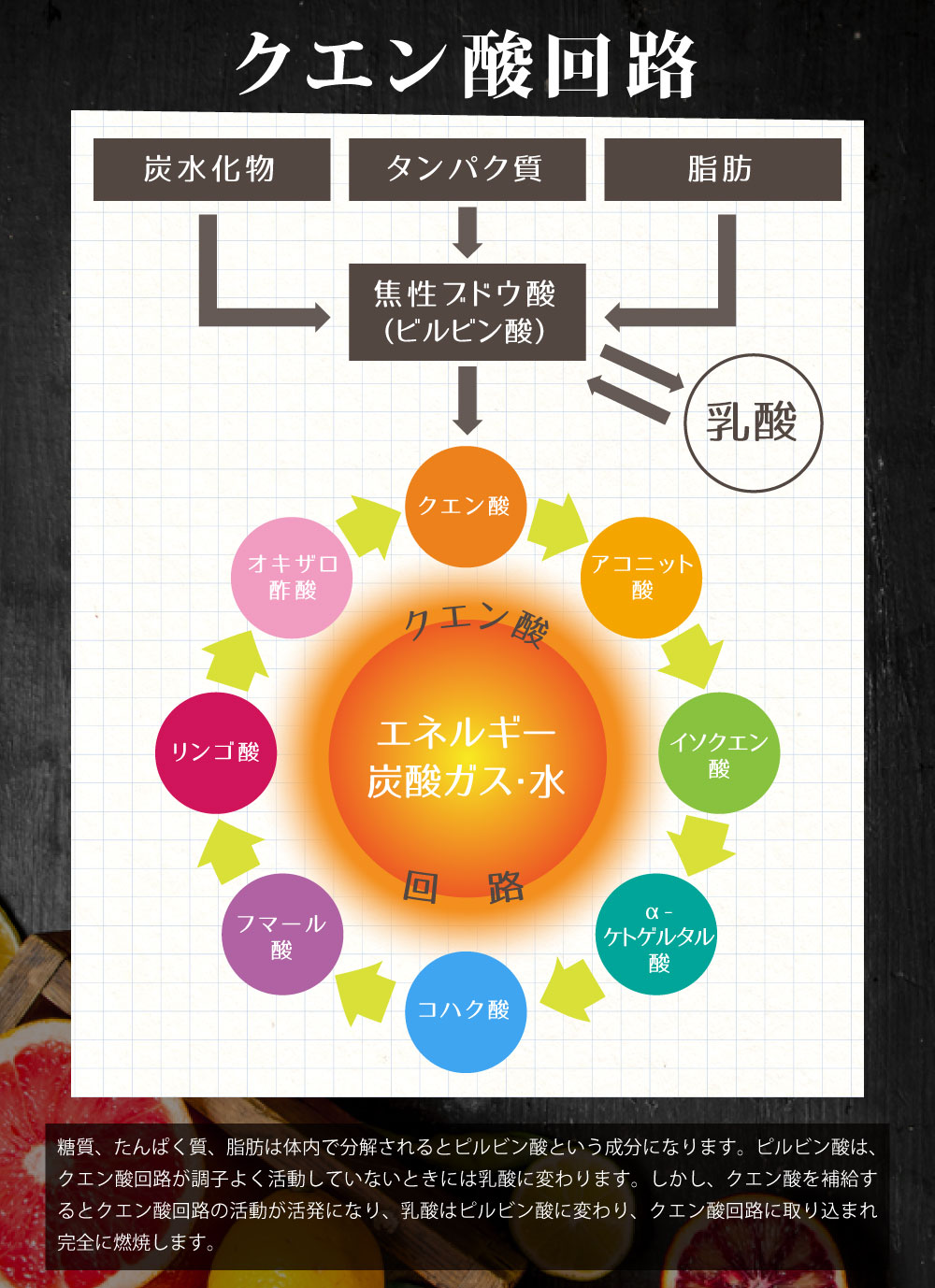 燃やしま専科 500g レモン風味 クエン酸 コラーゲン ダイエット