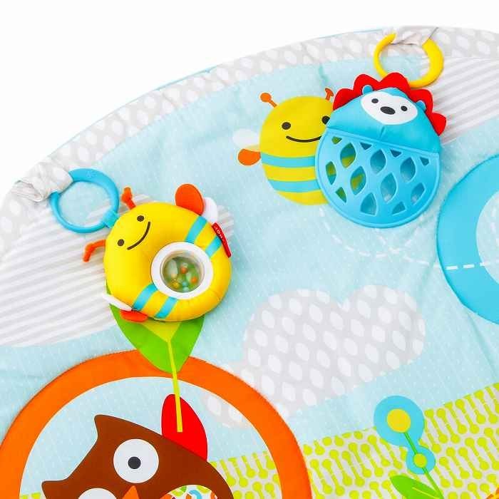 skip hop explore and more activity gym