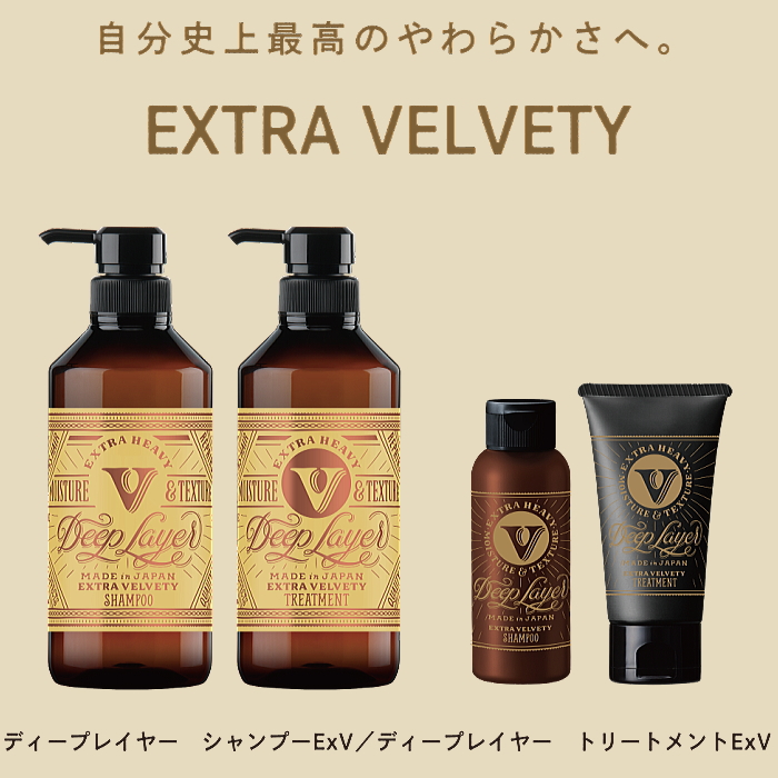 2セット　ディープレイヤーExSシャンプー トリートメント 詰め替え　750 Deep Layer（ディープレイヤー） シャンプーExS 750ml・トリートメント