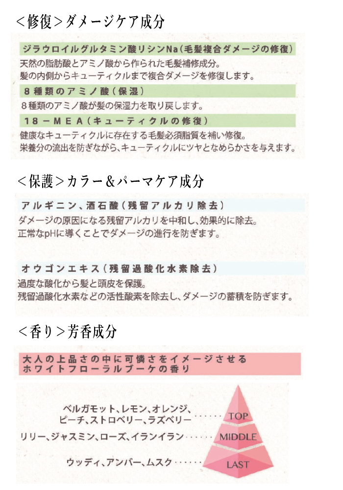 アジューダ インターコスメ アジューダドルチェ シャンプー 560mL詰