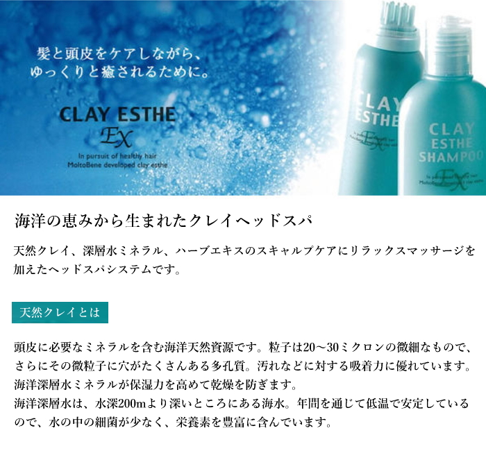 ビューティーエクスペリエンス クレイエステ パックEX 1000g 詰替え用