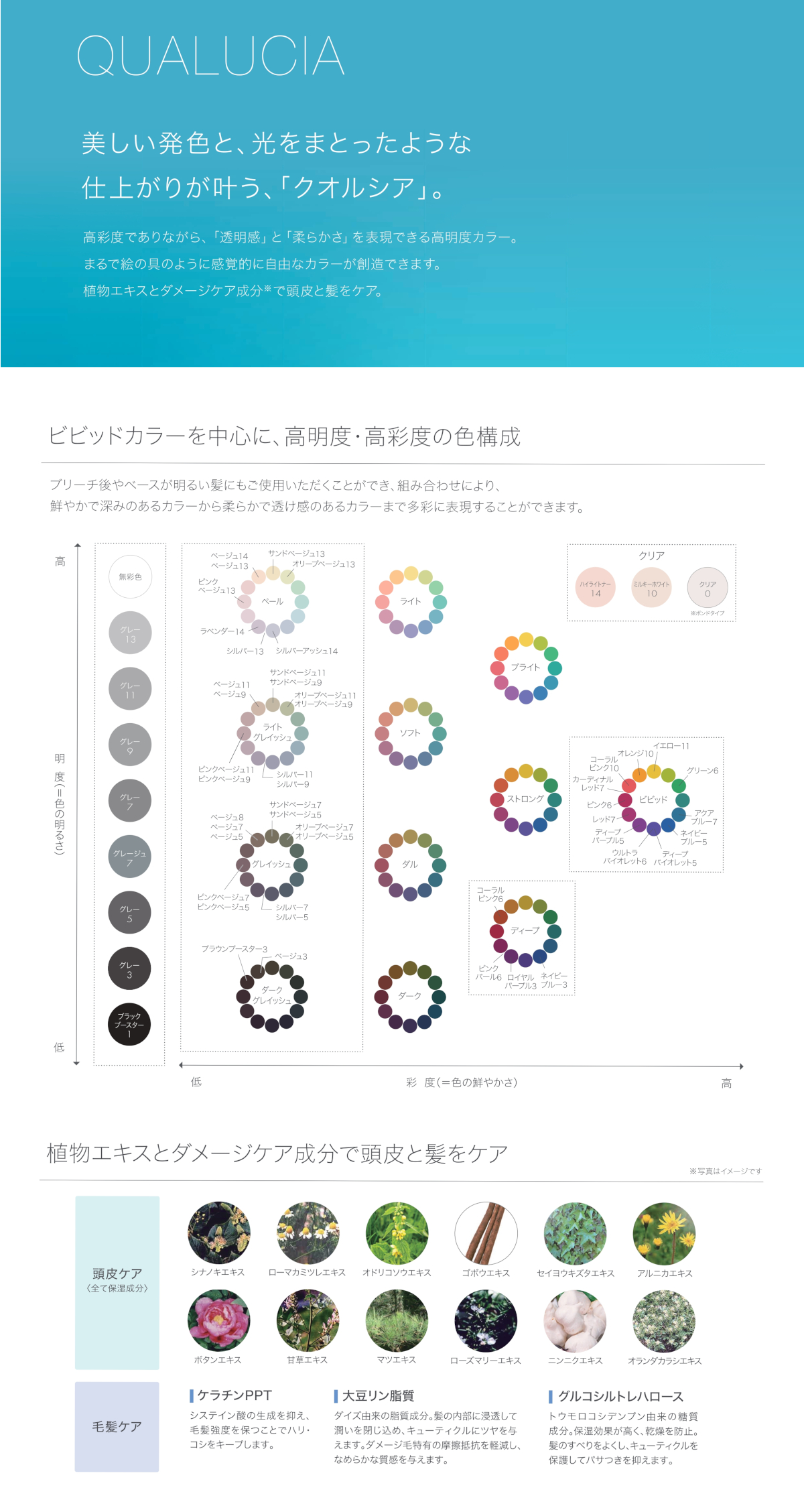 フィヨーレ BLカラー クオルシア グレー3 120g : BeautyPro Magica