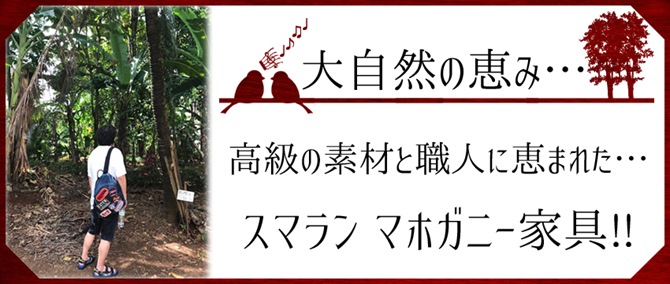 PALMAアンティーク マホガニーシリーズイメージ画像