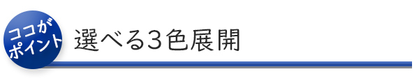 パナレーサー 楽々ポンプ