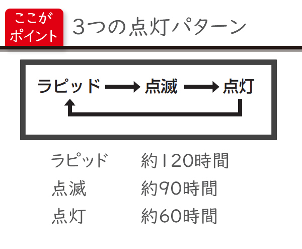 キャットアイ ライト