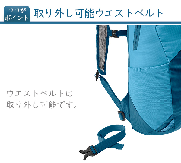 ドイター