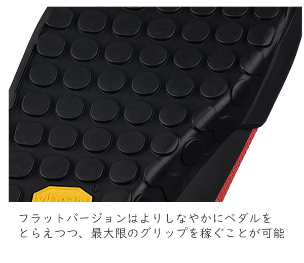フィジーク シューズ