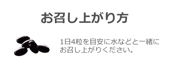 グリコ パワープロダクション エキストラ オキシアップ 持久系 呼吸持久系 有酸素運動をする人におすすめ POWER PRODUCTION