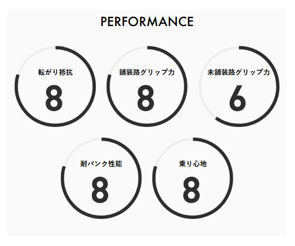 パナレーサー