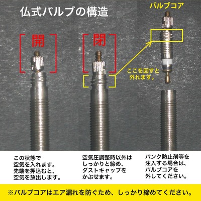 シュワルベ チューブ 700x18-28C 仏式60mm (15SV-EL) 自転車 チューブ