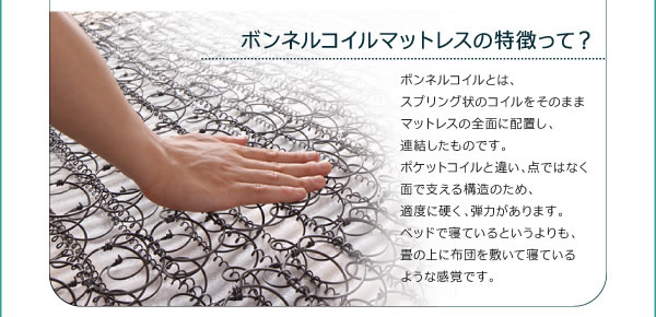 親子・兄弟で使える二段ベッド Bene&Chicを通販で激安販売